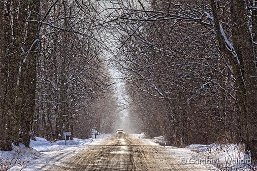 Winter Backroad_05164.jpg - Photographed near Westport, Ontario, Canada.